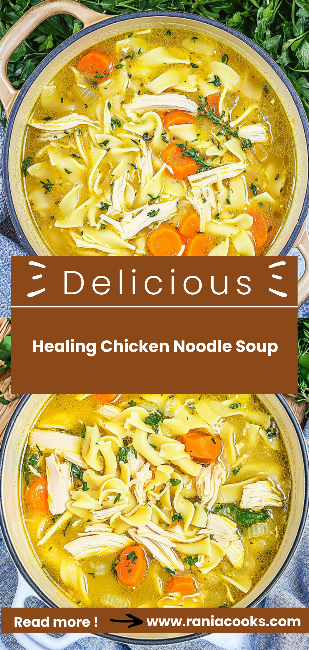 Healing Chicken Noodle Soup