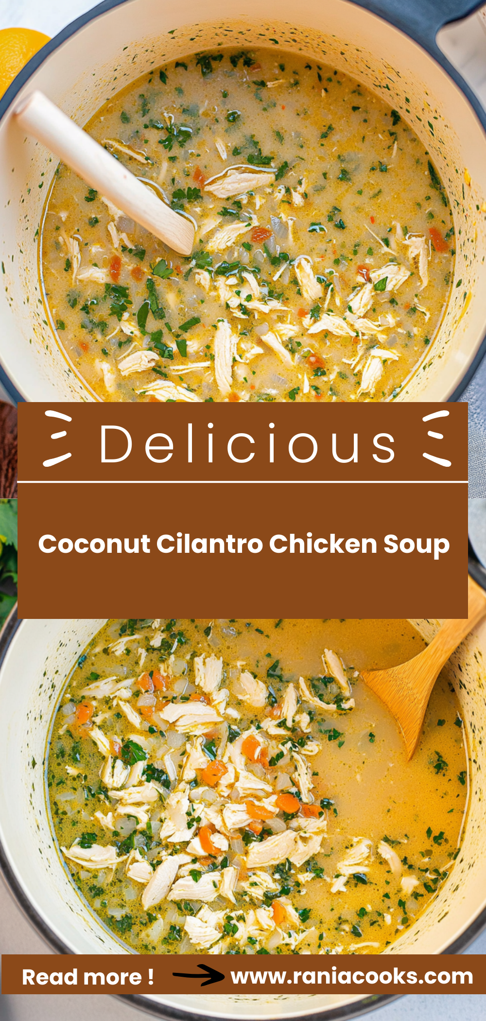 Coconut Cilantro Chicken Soup