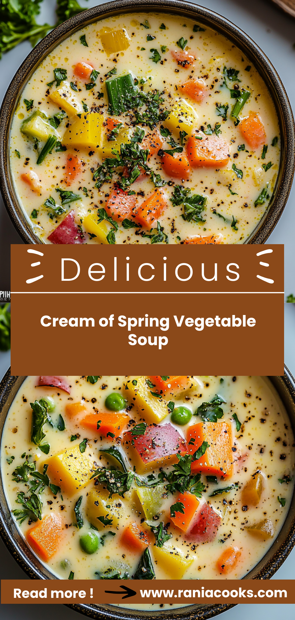 Cream of Spring Vegetable Soup