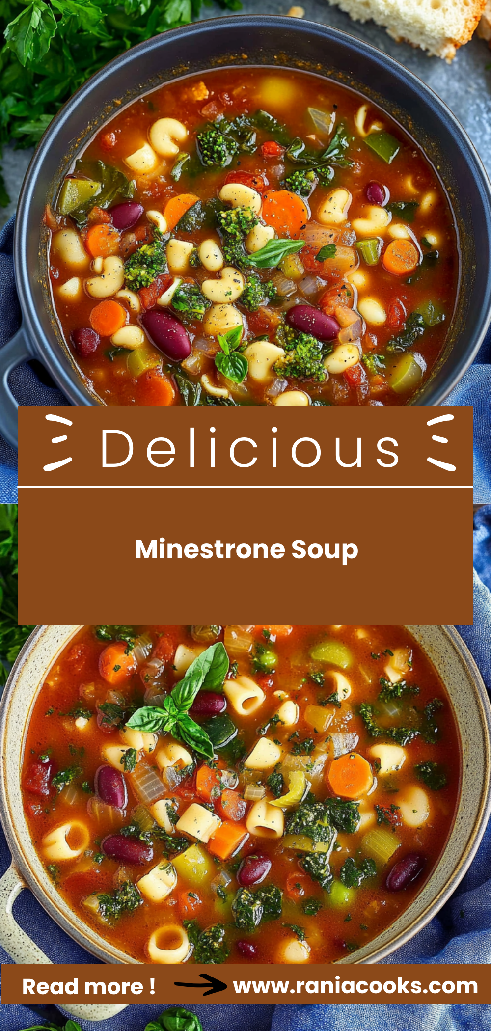 Minestrone Soup