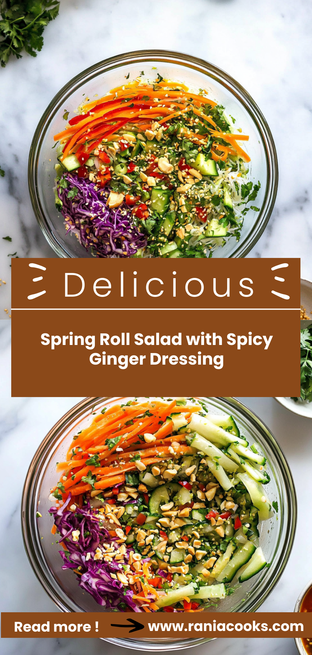 Spring Roll Salad with Spicy Ginger Dressing