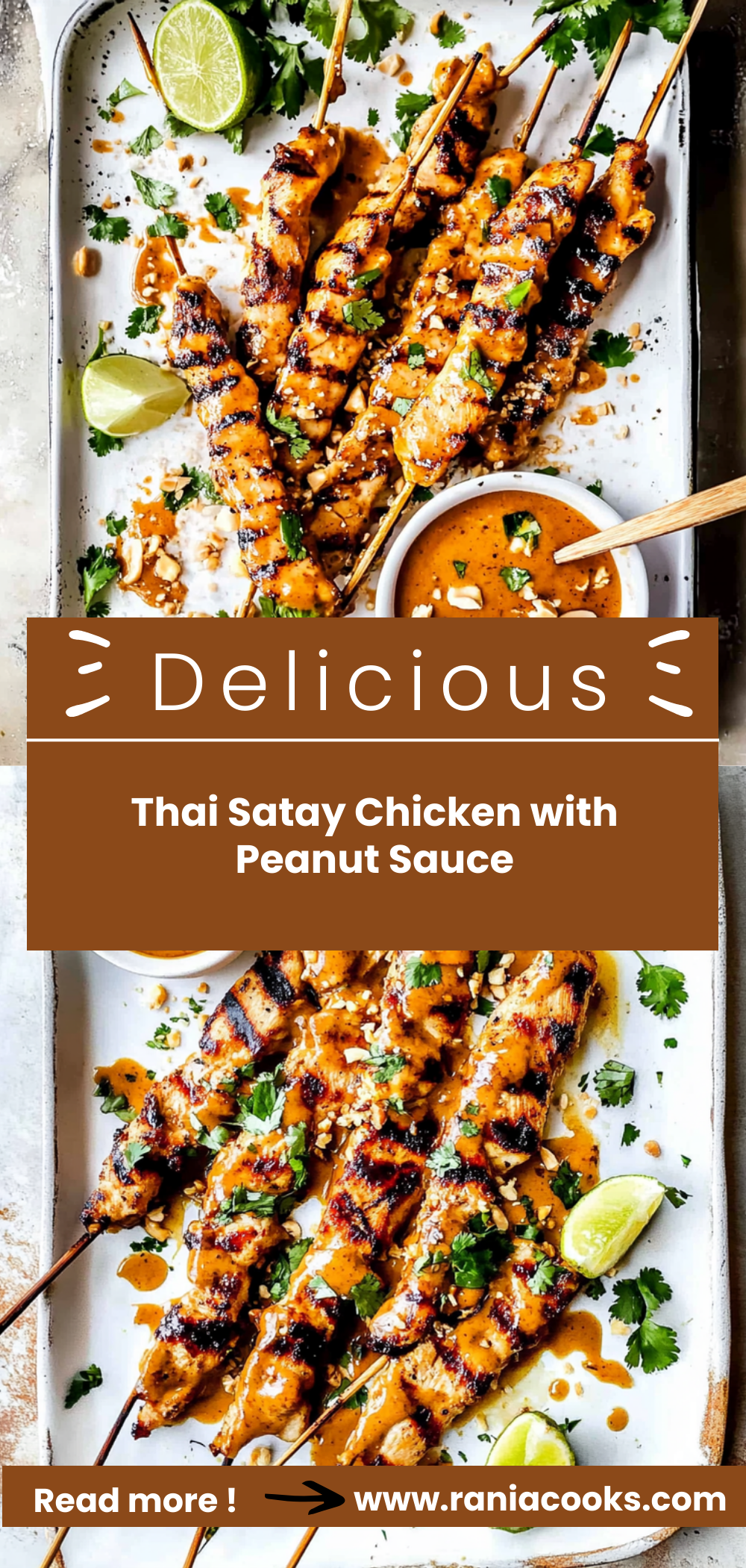 Thai Satay Chicken with Peanut Sauce